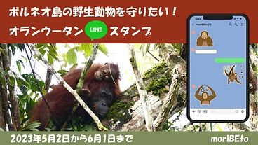 ボルネオ島の野生動物を守りたい！オランウータンLINEスタンプ のトップ画像