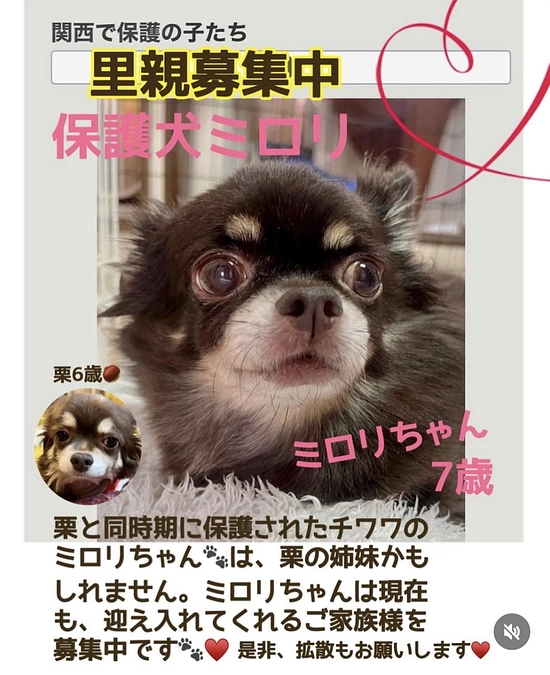 気がかりな事…。