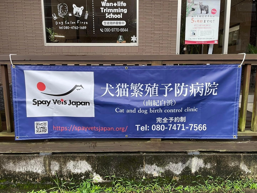 いよいよ開院！！　繁殖予防病院　南紀白浜　　南紀の猫たちの未来が変えていく第一歩