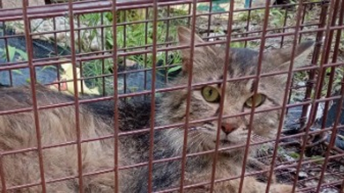 愛称「タヌ」ちゃん。