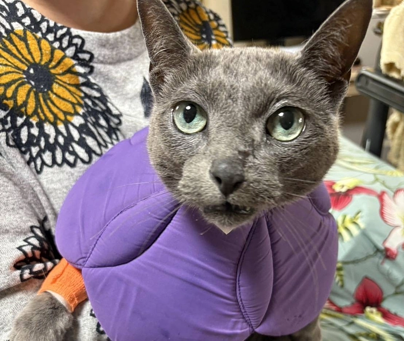 無事に放射線治療が終わりました。