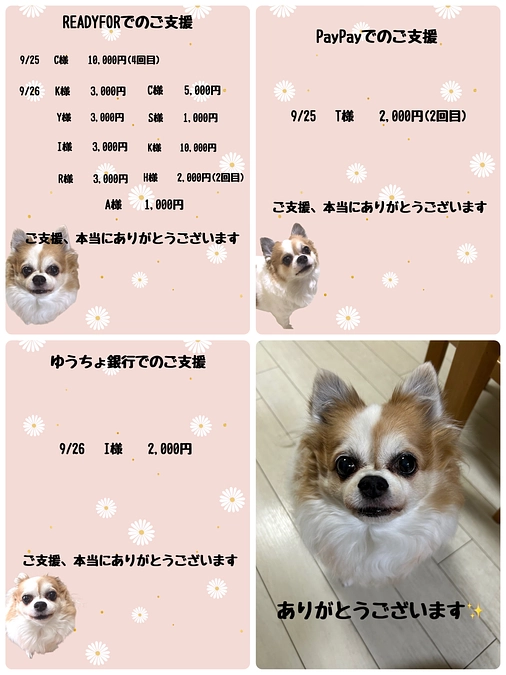 9月25日から9月26日までのご支援