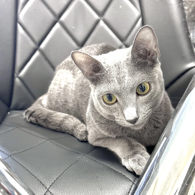 投薬6日目〜8日目