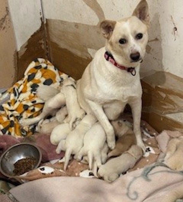 新しい命の誕生