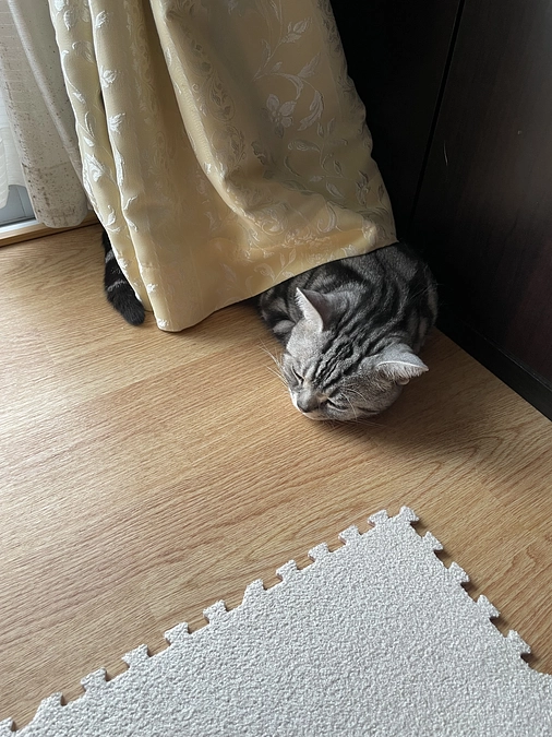 本日の銀時(投薬66日目)ゆ