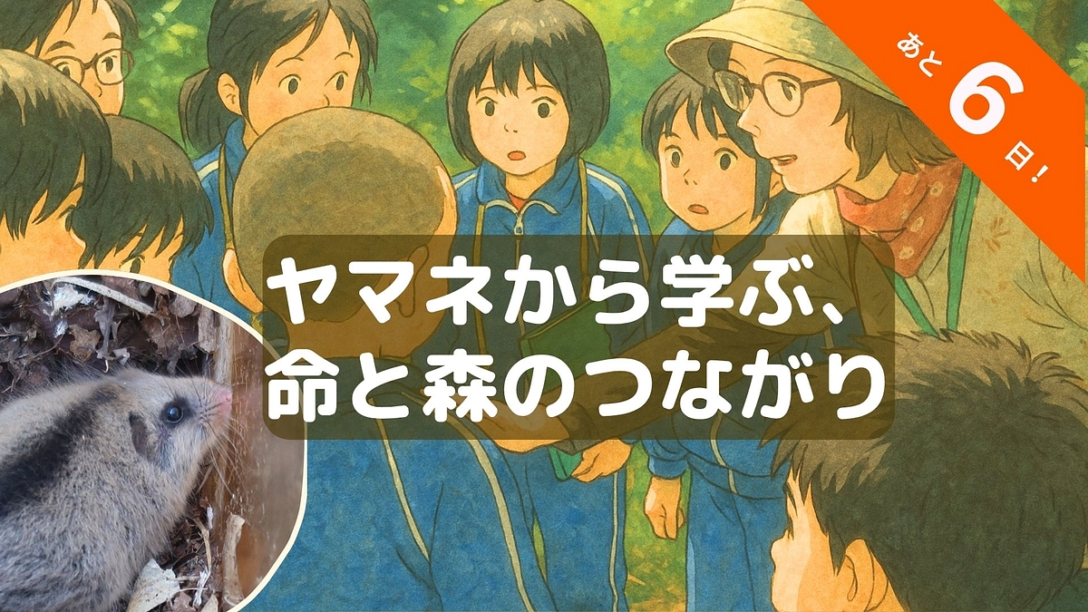 🐾新着動画のお知らせ｜ヤマネから学ぶ、命と森のつながり🌱