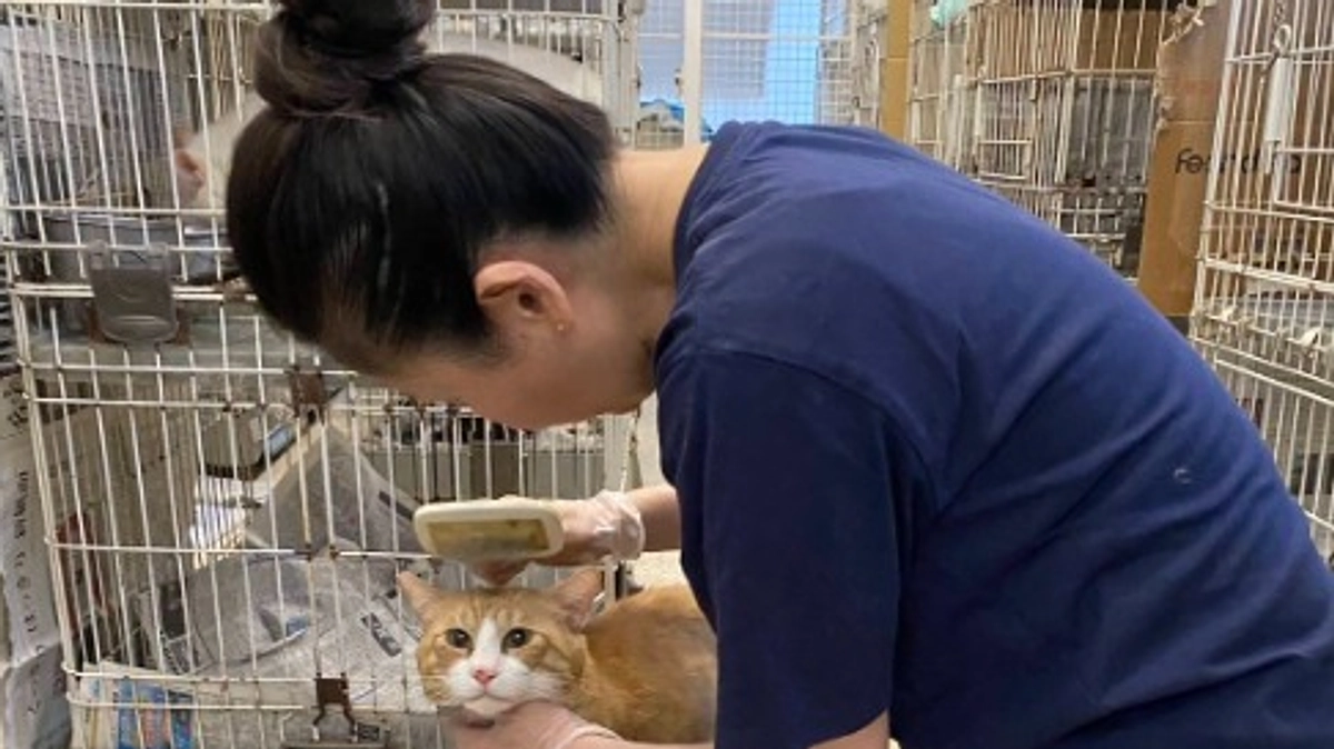 【メッセージリレー#９】スタッフの今坂史子さんからメッセージいただきました。