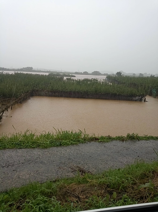 昨年7/25の降水当時の梨畑です