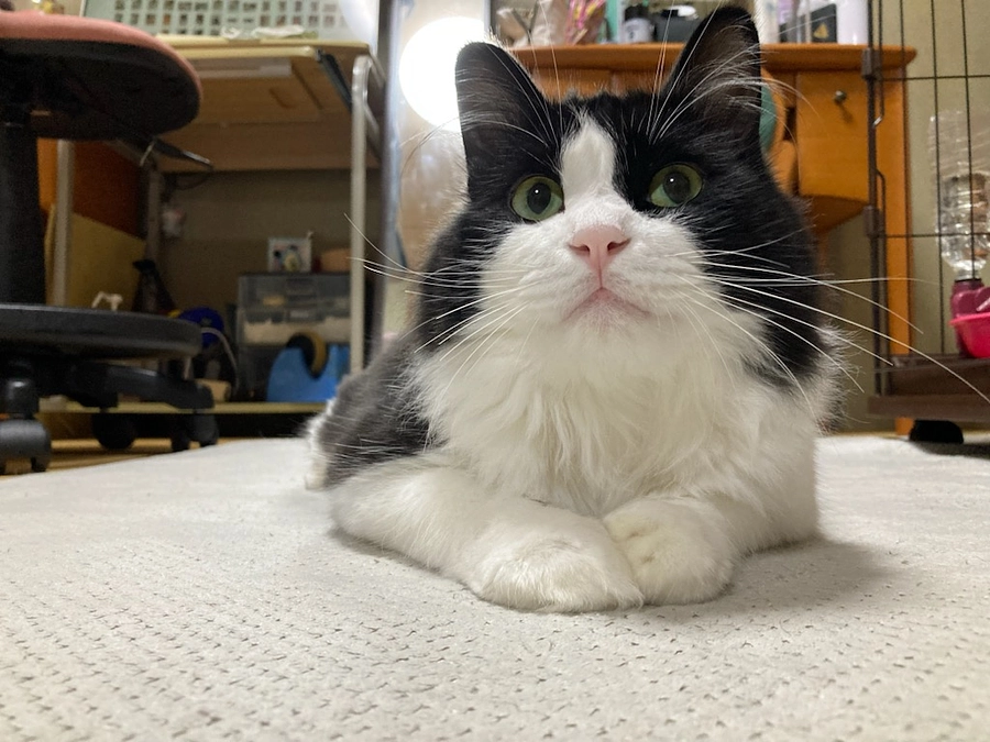 ７月ももう終わり