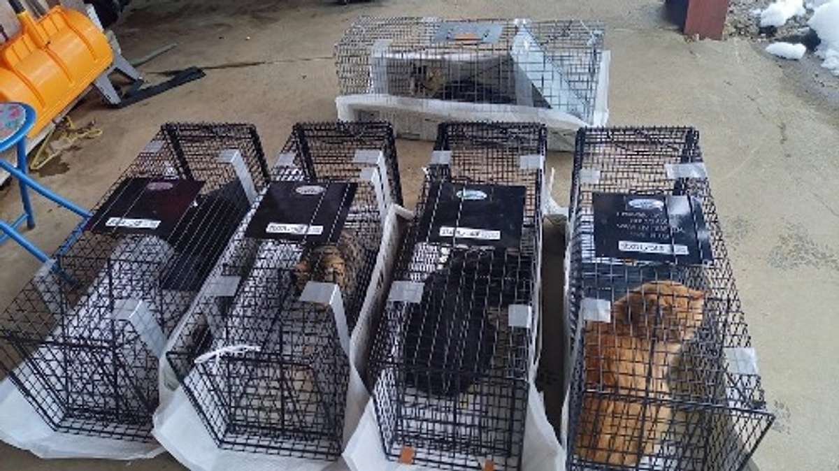 全頭手術完了！