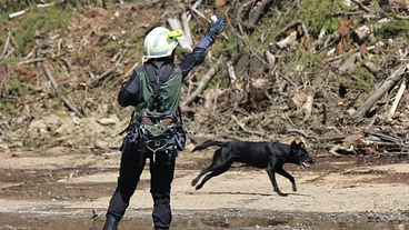 長岡市、見附市の HOT DOG CLUBが犬と人との共生を目指す のトップ画像
