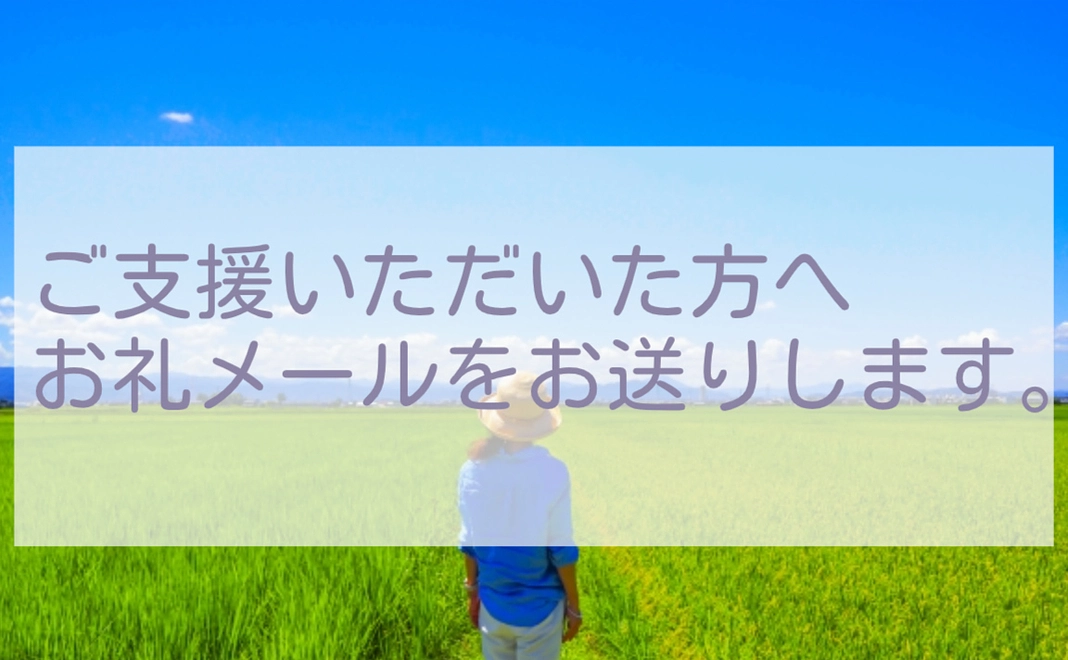 5000+システム利用料