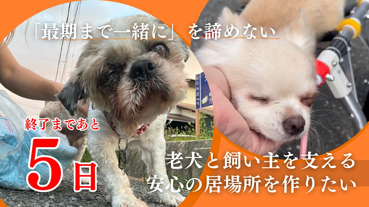  【残り5日】ご支援とたくさんの応援コメント、本当にありがとうございます