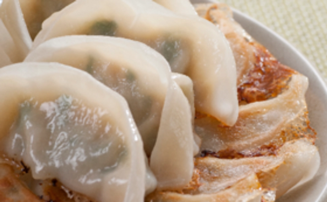 お試し!喜多方もっちり餃子コース6,200円分