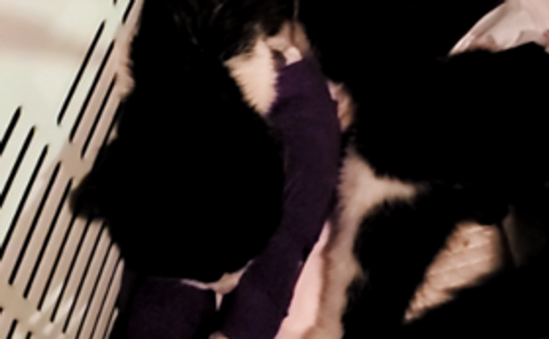 頑張れ！サラミちゃんコース