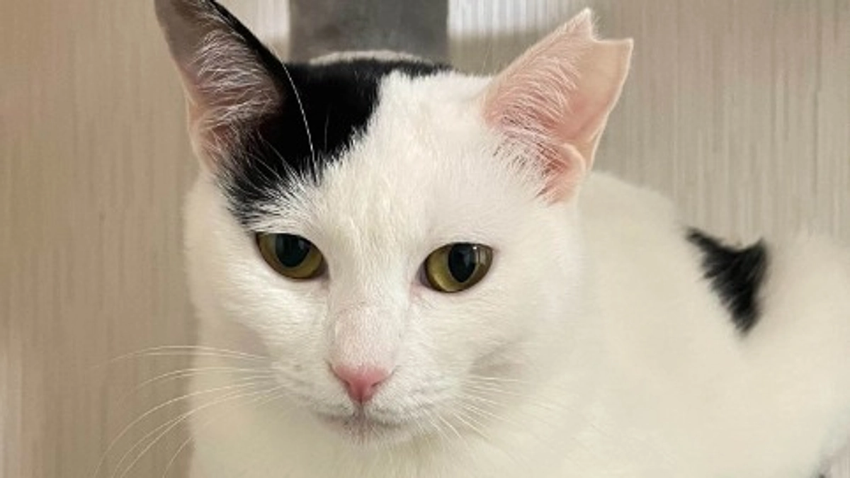 【皆様のおかげで】クラウドファンディング成功いたしました！！