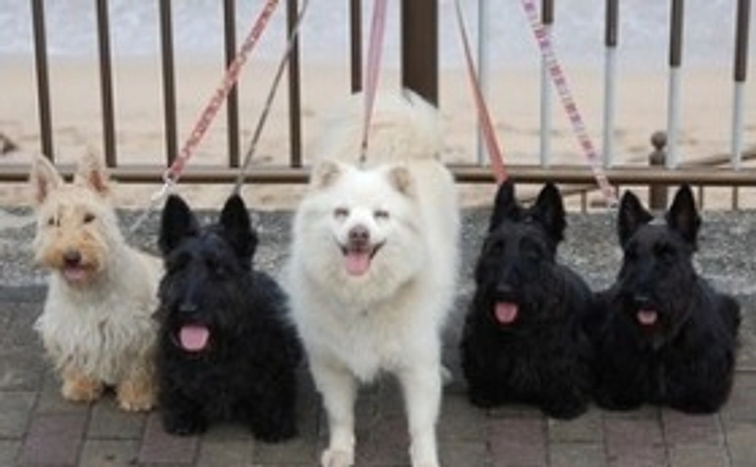 リターン不要の方へ向け、感謝の気持ちを込めたお礼のお手紙