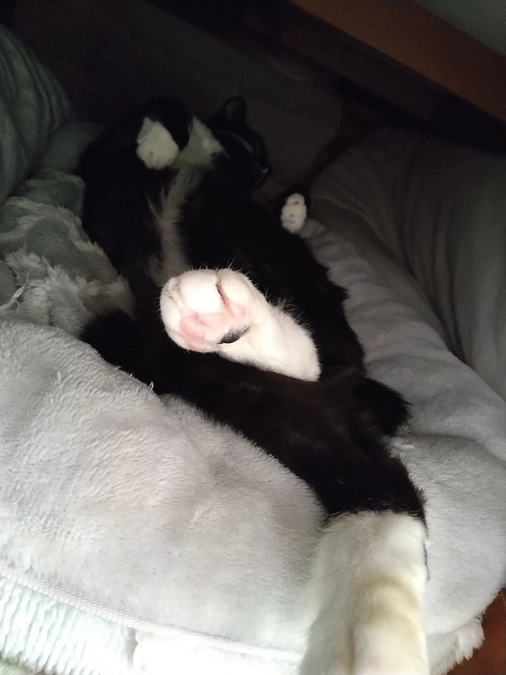 1/25はなちゃんの様子