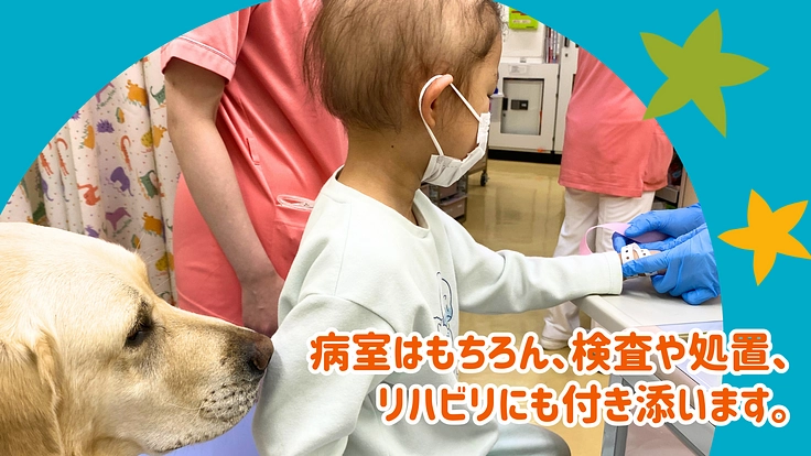 入院する子どもたちを笑顔に!ファシリティドッグ育成基金2023 3枚目