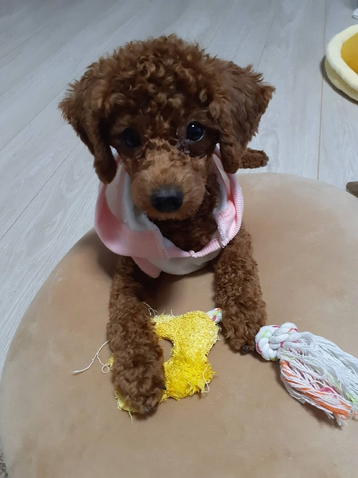 術後1ヶ月が経ちました。