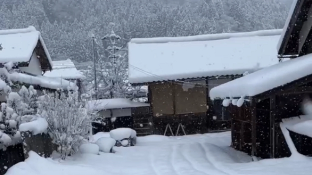 雪かき隊の出動です！