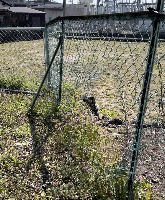 3月28日までがんばります💪