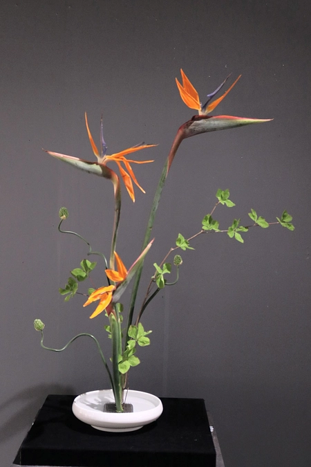 後期エントリーナンバーA02