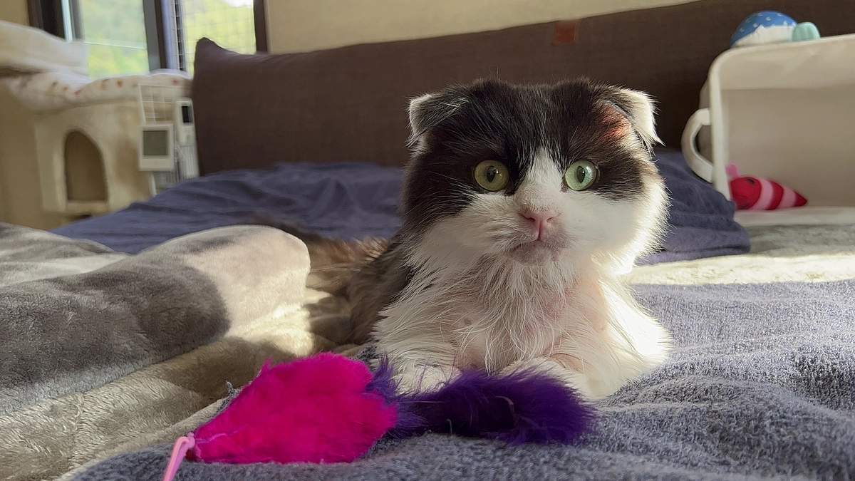 10/17のテオくんの様子