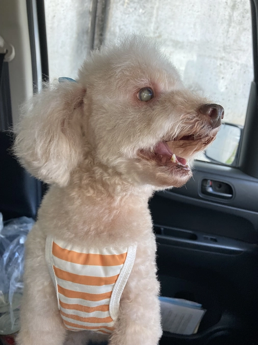 ゆうちょのご報告です