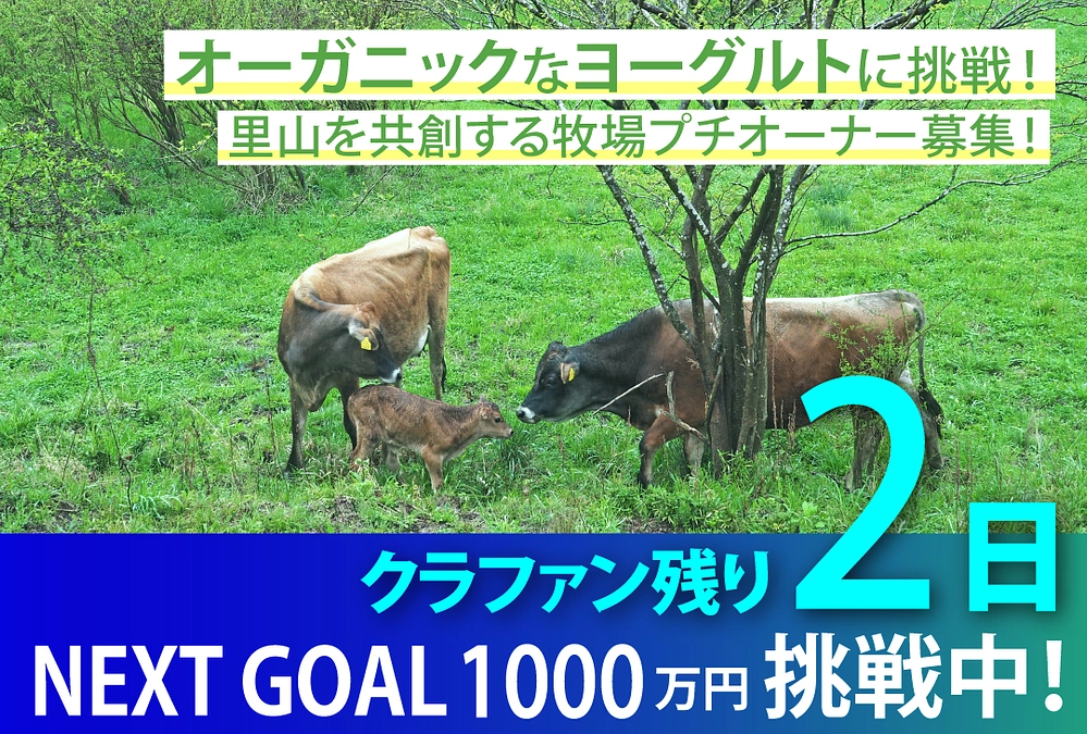 子供の遊びを全力応援！東京に暮す遊びのプロから応援メッセージvol.14 嶋村仁志さん/村松将典さん