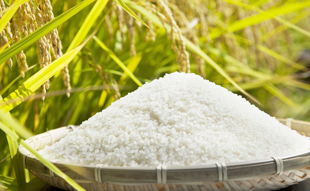 【特別栽培米】お米2kgコース