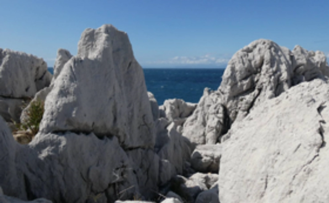 カメラで撮影した写真を限定公開します！