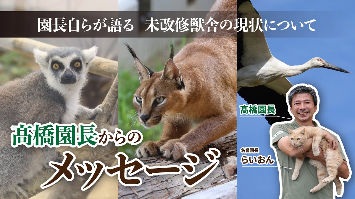 園長自らが語る、未改修獣舎の現状について