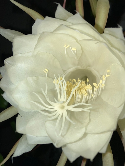 プロジェクト達成しました！！