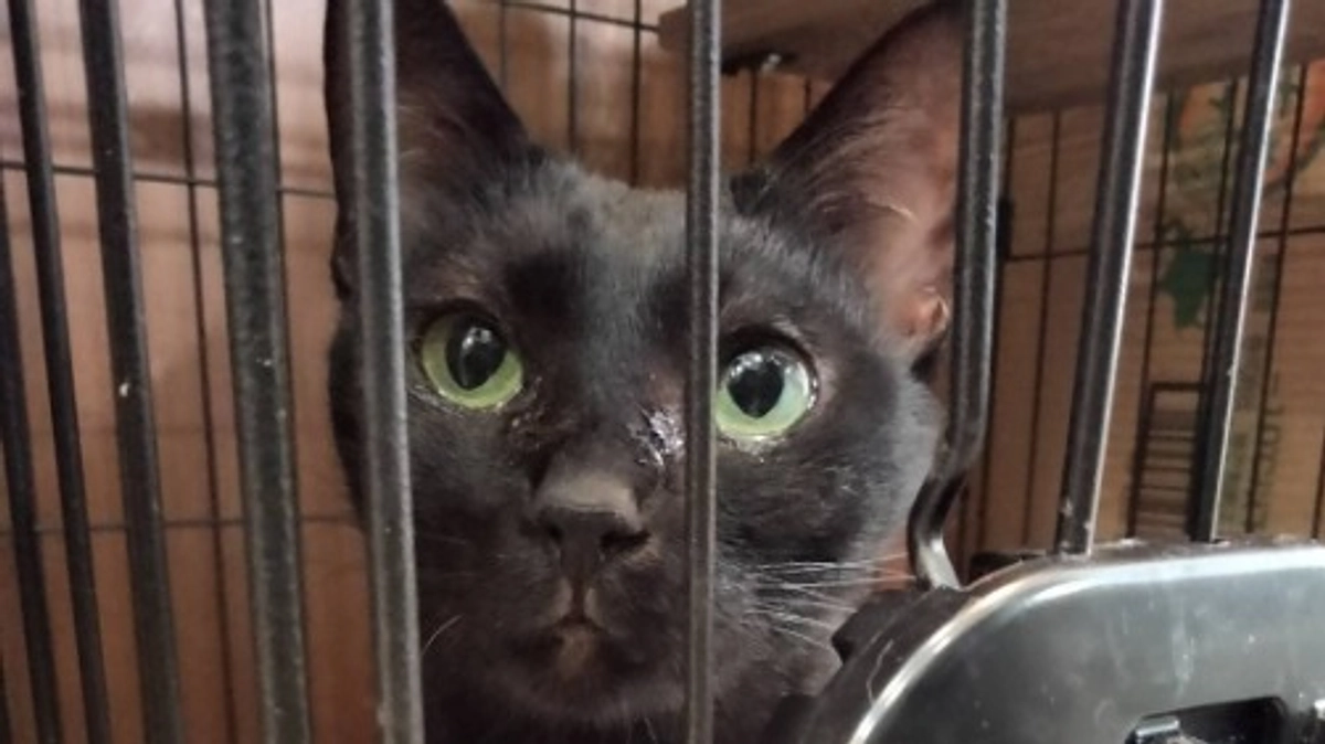 3時のおやつは楽しみです♪