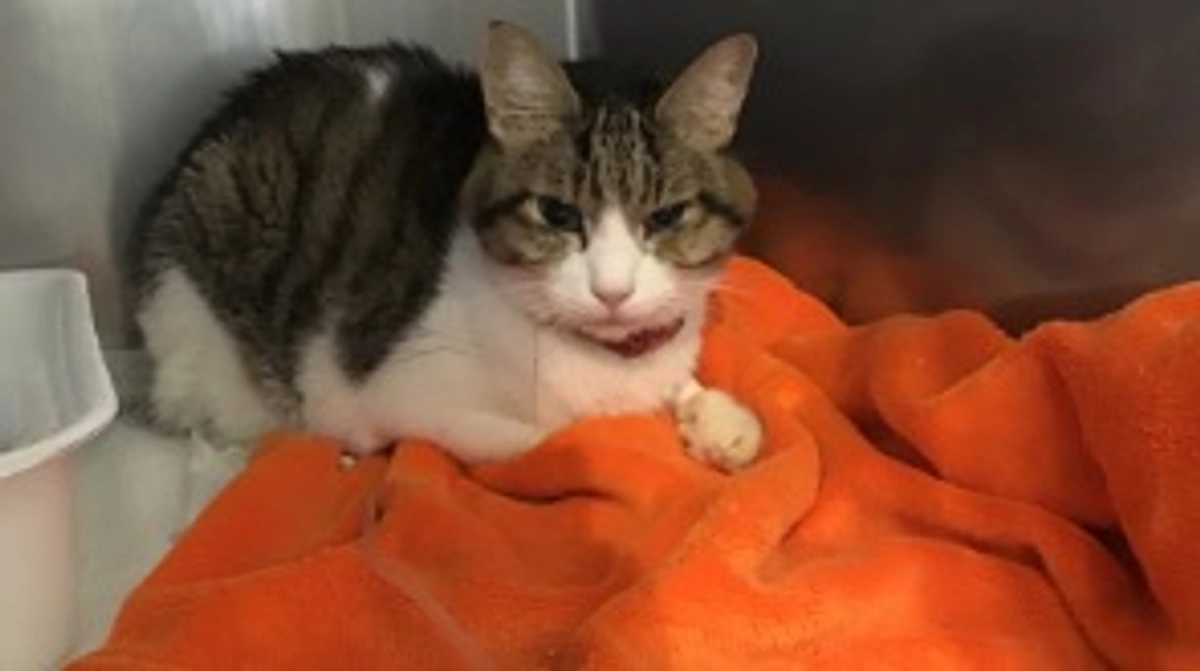 1/16 本日の入院の様子です