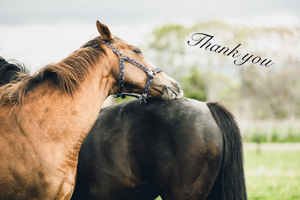 応援メッセージのご紹介③