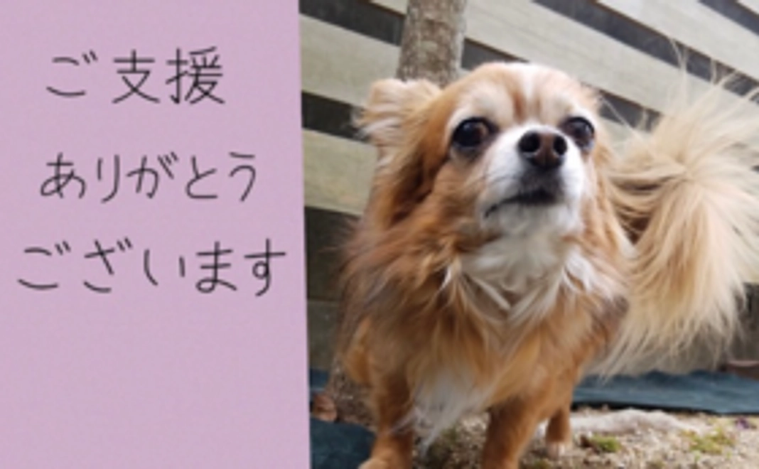 ソラへのご支援ありがとうございます②