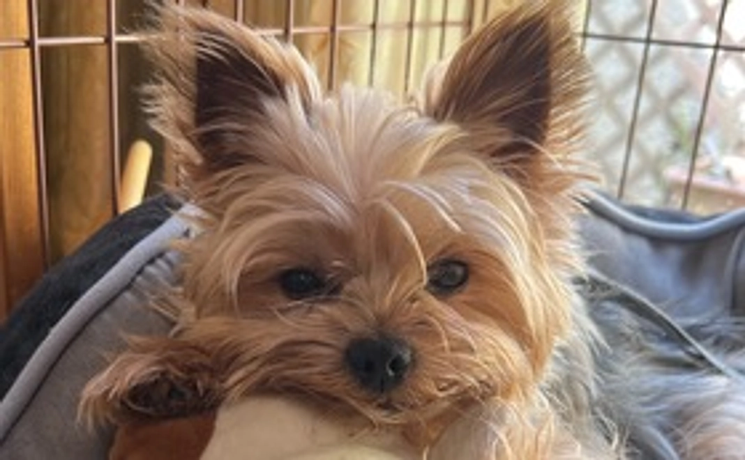 感謝のお礼メール①