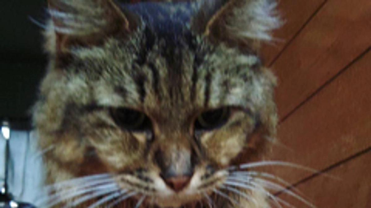 ご支援・拡散応援いただき、誠に有難う御座います。