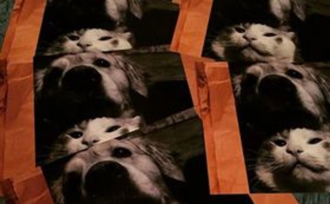 オリジナルポストカードのサンクスレター