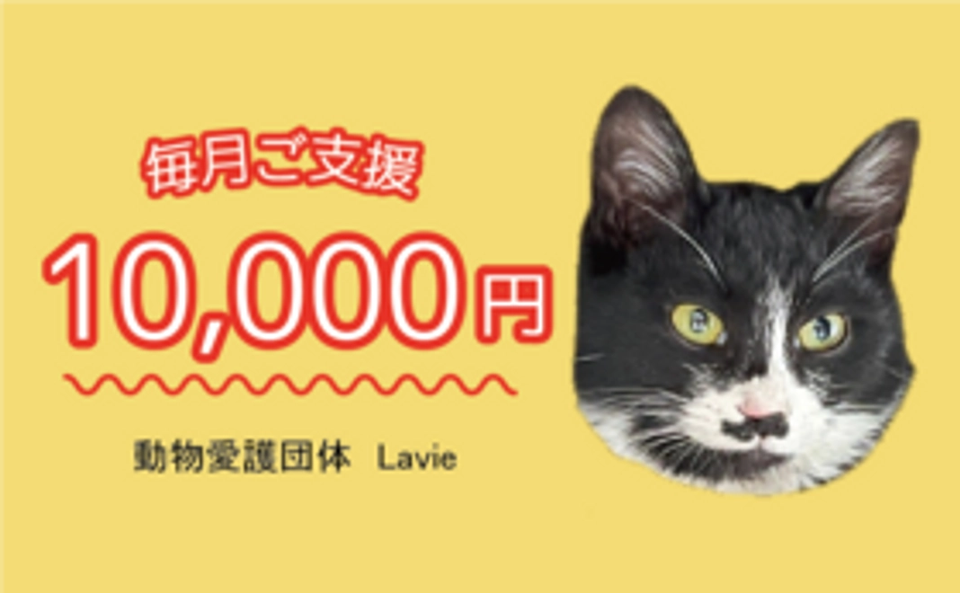 毎月ご支援　10,000円コース