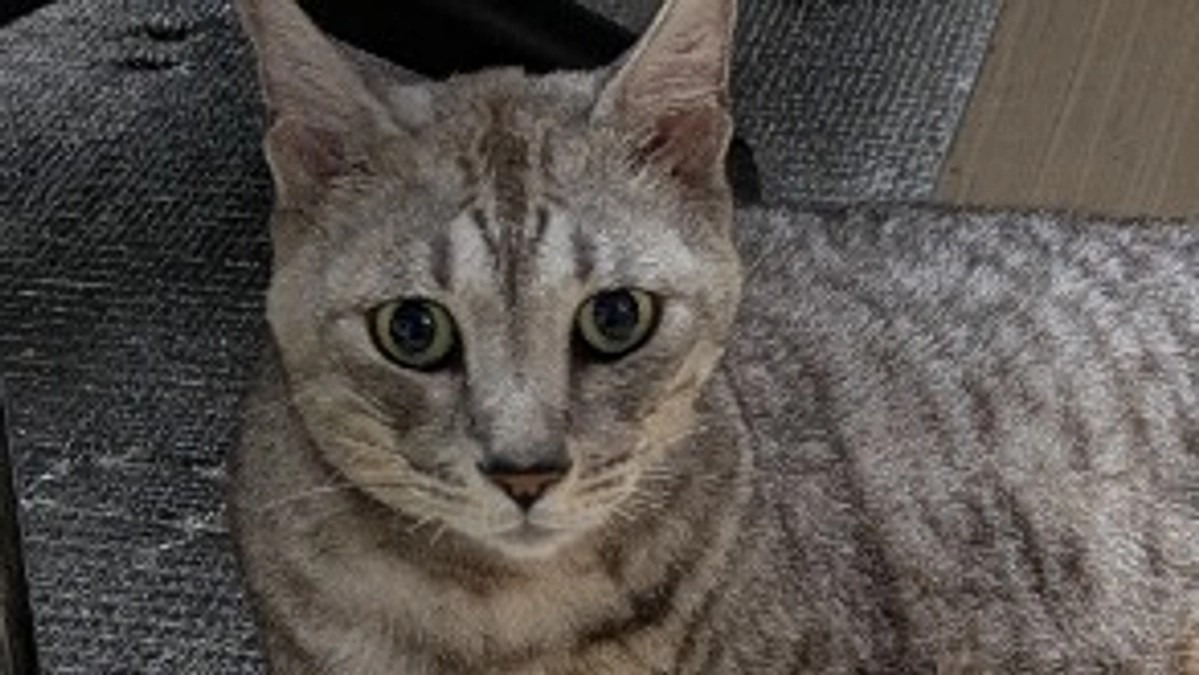 まだまだ長い道のりですがゴール目指して