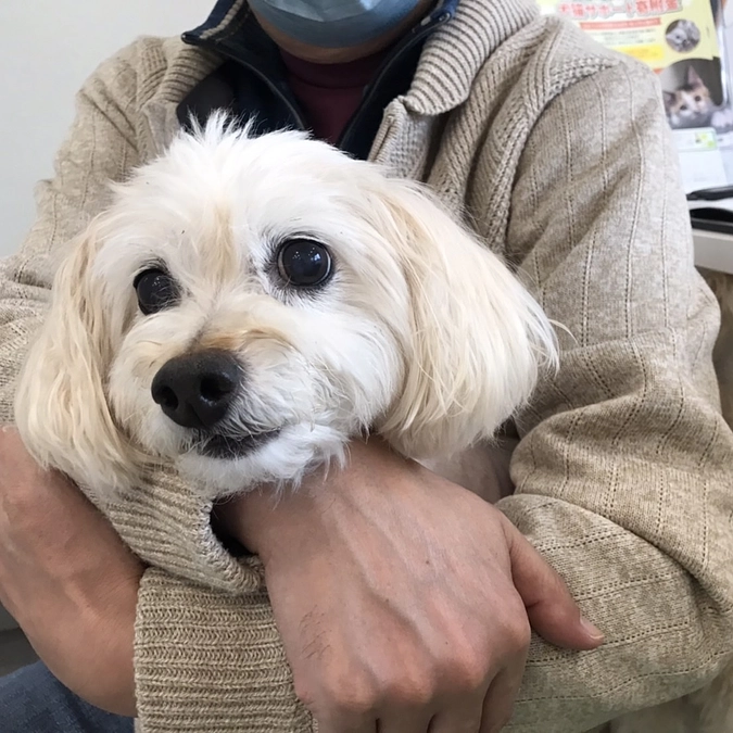 退院出来ました！