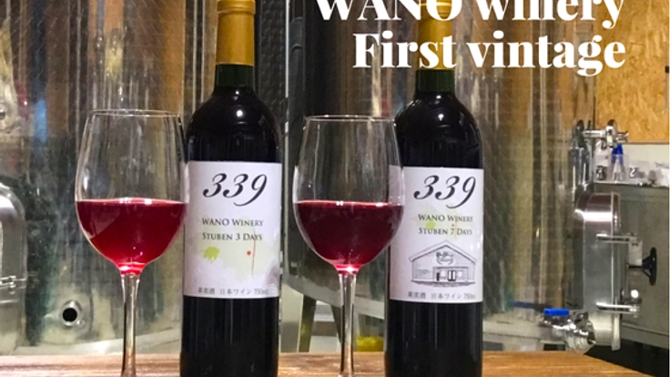 新たな鶴田の名産品！スチューベンのワインをご堪能あれ！