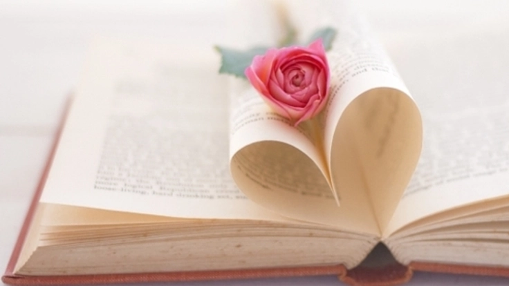 奨励賞を受賞した長編小説「華麗なる孤独」を出版したい