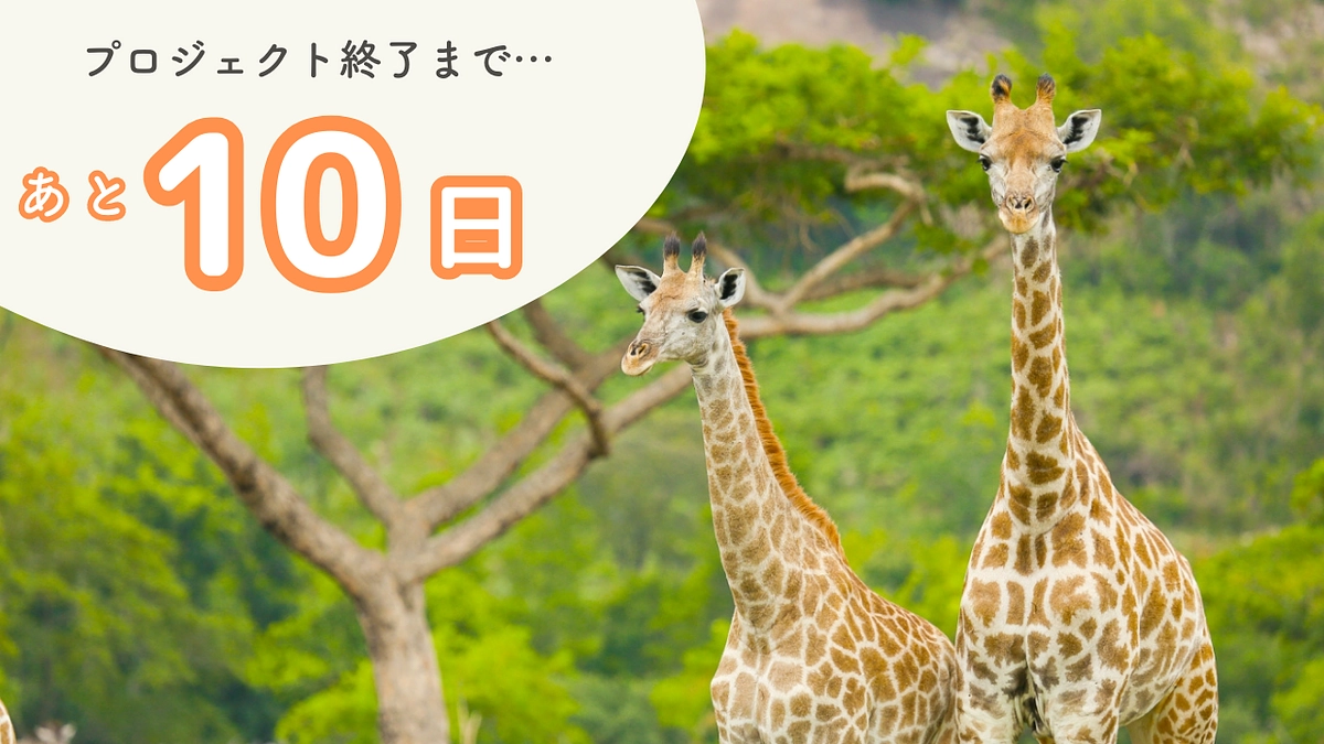 【拡散・応援のご協力のお願い】プロジェクト終了まであと10日を切りました…！