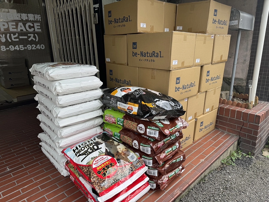 野犬の子たちへのフード