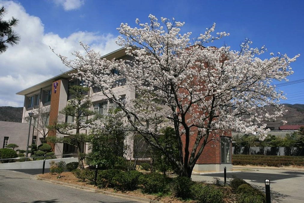 ラウドファンディング第二弾、初日が終了しました！