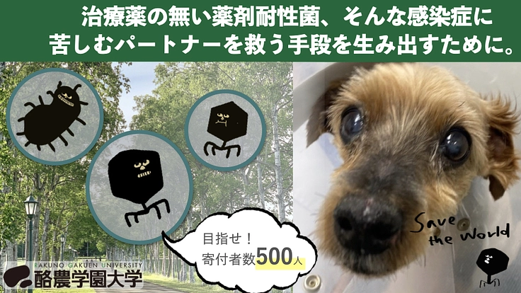 ファージが最愛のペットを救える未来へー多剤耐性菌感染症の切り札ー